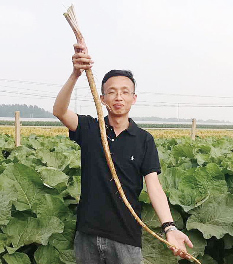 山東出版集團有限公司內(nèi)容圖片展示