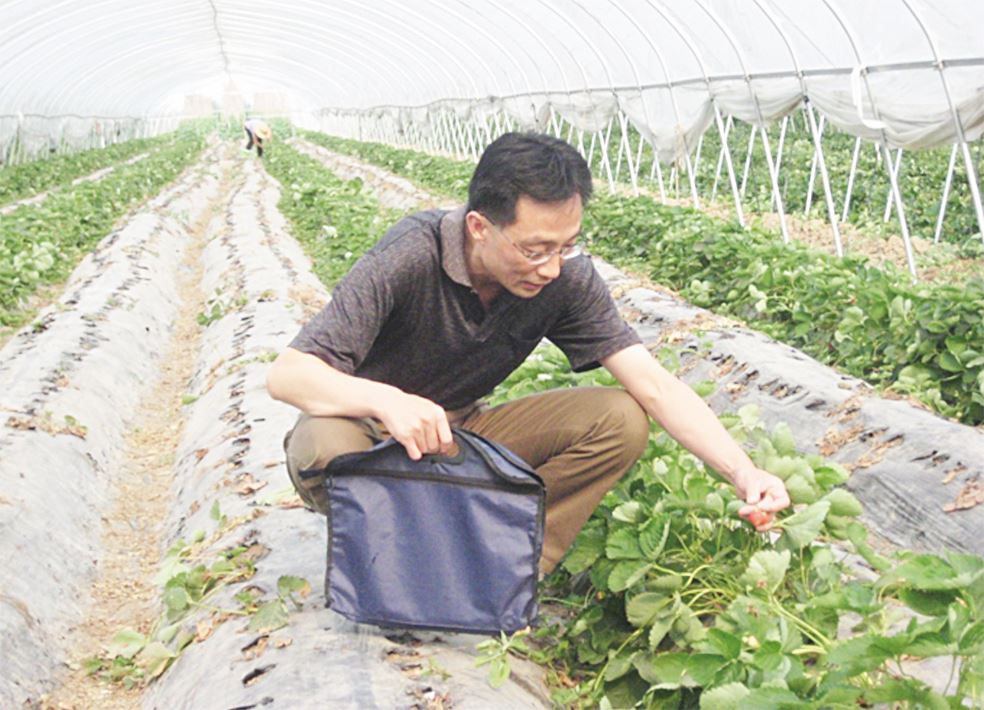 山東出版集團有限公司內(nèi)容圖片展示