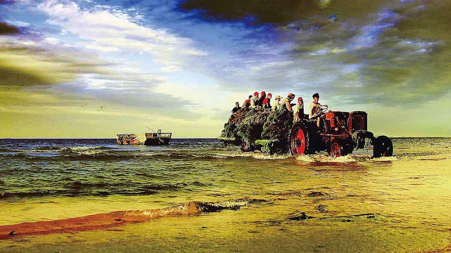 山東出版集團有限公司內容圖片展示